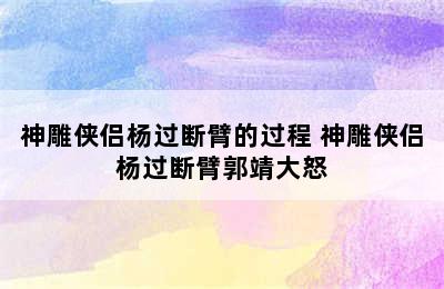 神雕侠侣杨过断臂的过程 神雕侠侣杨过断臂郭靖大怒